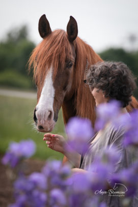 Pferdefotografie im Freien mit natürlicher Blumendekoration